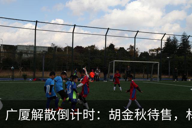 广厦解散倒计时：胡金秋待售，林秉圣离开，民企资金困境影响CBA
