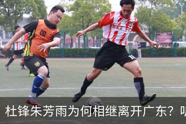 杜锋朱芳雨为何相继离开广东？听听业内媒体人怎么说，苏群犀利点评一针见血