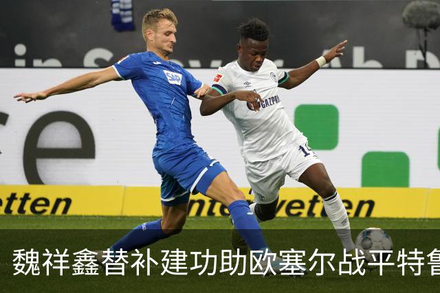魏祥鑫替补建功助欧塞尔战平特鲁瓦 中国足球未来可期