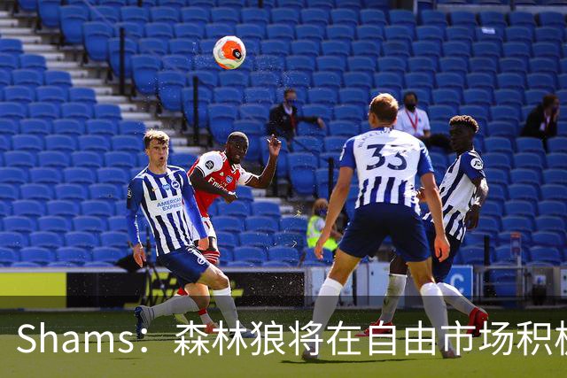 Shams：森林狼将在自由市场积极补强4号位 但他们只能提供底薪